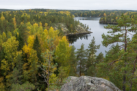 Parc national de Repovesi 
