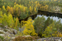 Parc national de Repovesi 