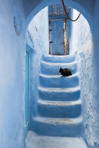 Chefchaouen // Maroc