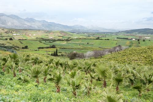 Sur la côte du Rif