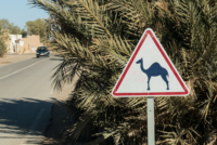 Près de Rissani