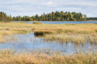 Parc national de Salamajärki