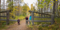 Parc national de Salamajärki
