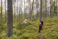 Parc national de Salamajärki