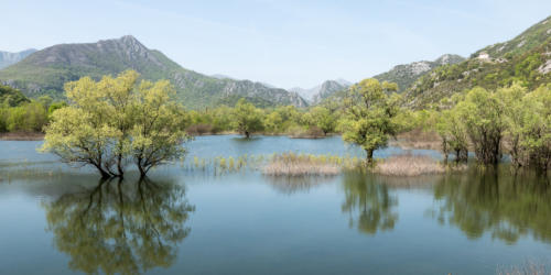 Canoë sur le lac Skadar // Montégnégro