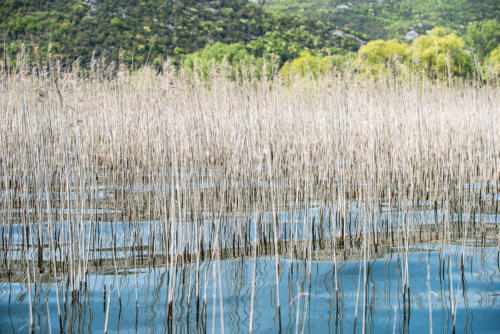 Canoë sur le lac Skadar // Montégnégro