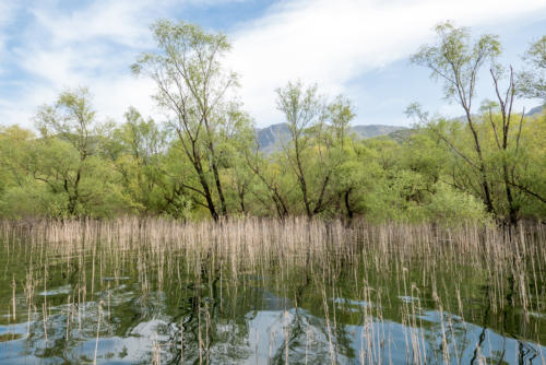 Canoë sur le lac Skadar // Montégnégro