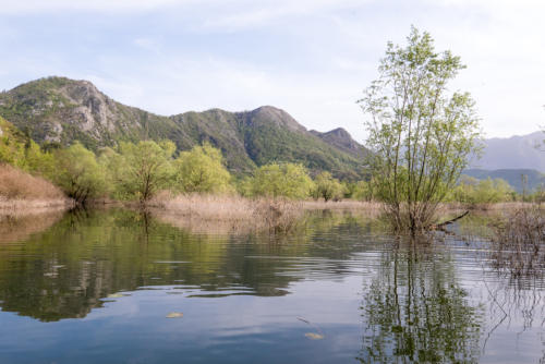 Canoë sur le lac Skadar // Montégnégro