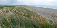 09 Skagen