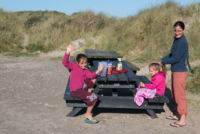 20 Skagen