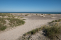 19 Skagen