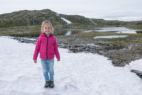 Sognefjell