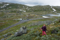 Sognefjell