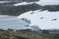 Sognefjell
