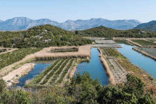 Delta de Neretva