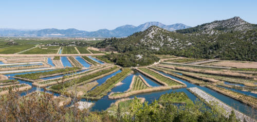 Delta de Neretva