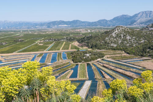 Delta de Neretva