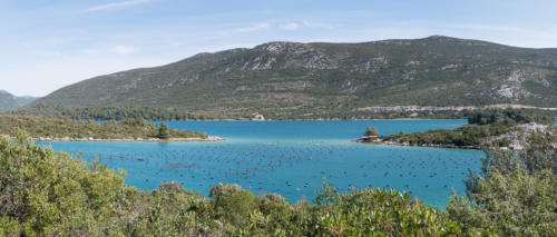 Presqu'île de Peljesak