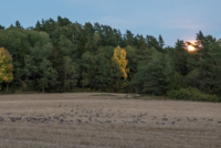 Au nord de Stockholm