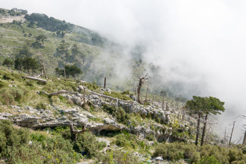 Sur la côte Albanaise