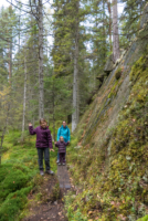 Parc National de Tiveden