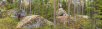 Parc National de Tiveden