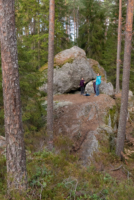 Parc National de Tiveden