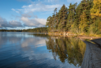 Parc National de Tiveden