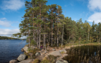Parc National de Tiveden