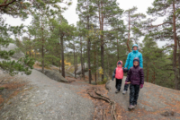 Parc National de Tiveden