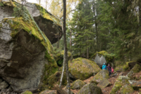 Parc National de Tiveden