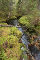 Parc National de Tiveden