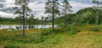 Trondelag