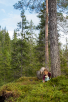 Trondelag