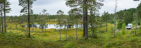 Trondelag