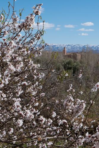 La vallée des roses // Maroc