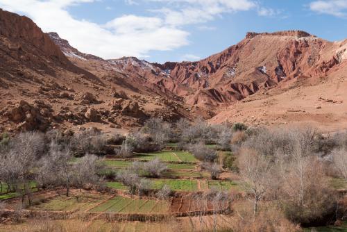 La vallée des roses // Maroc
