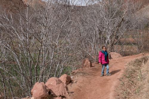 La Vallée des Roses // Maroc