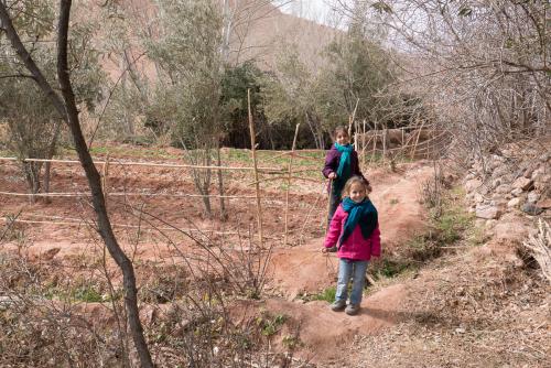 La Vallée des Roses // Maroc