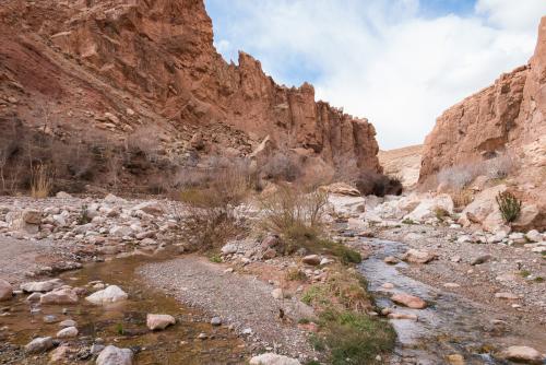 La Vallée des Roses // Maroc