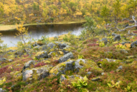 Lacs Aunvatnan
