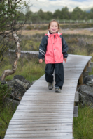 Marais Fokstumyra